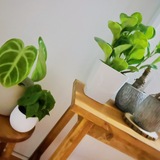 メンズエステブログ - 未希つむぎ☆彡写メ日記