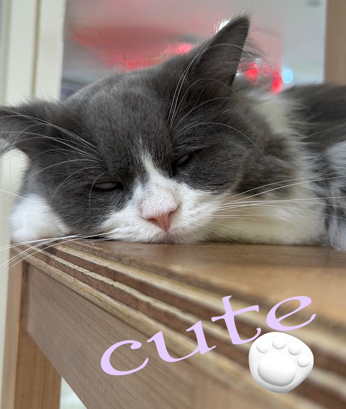 未希つむぎ☆彡写メ日記メイン画像