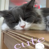 メンズエステブログ - 未希つむぎ☆彡写メ日記