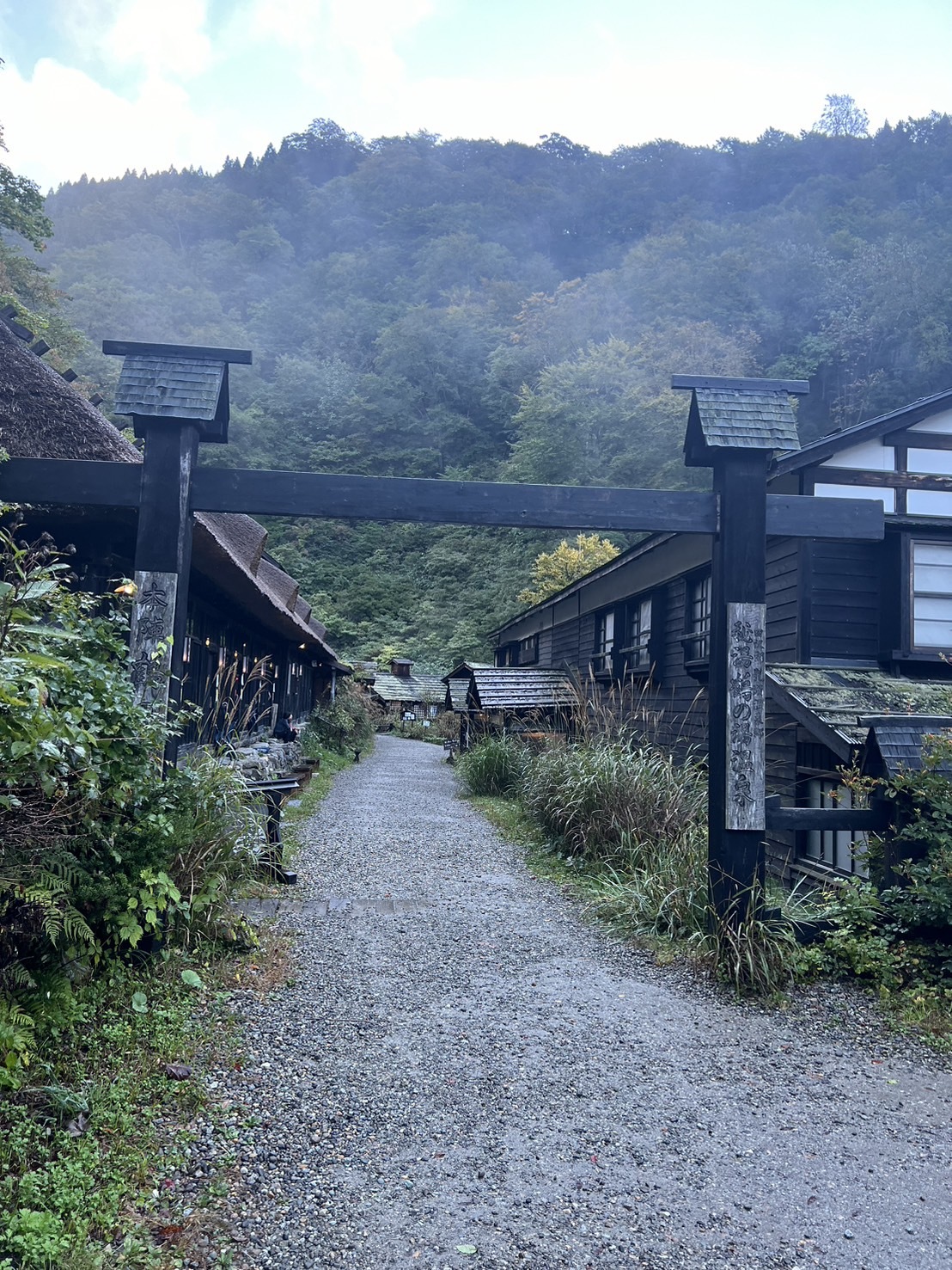 11/16(日)〜30(日)までのスケジュールを更新致しましたメイン画像