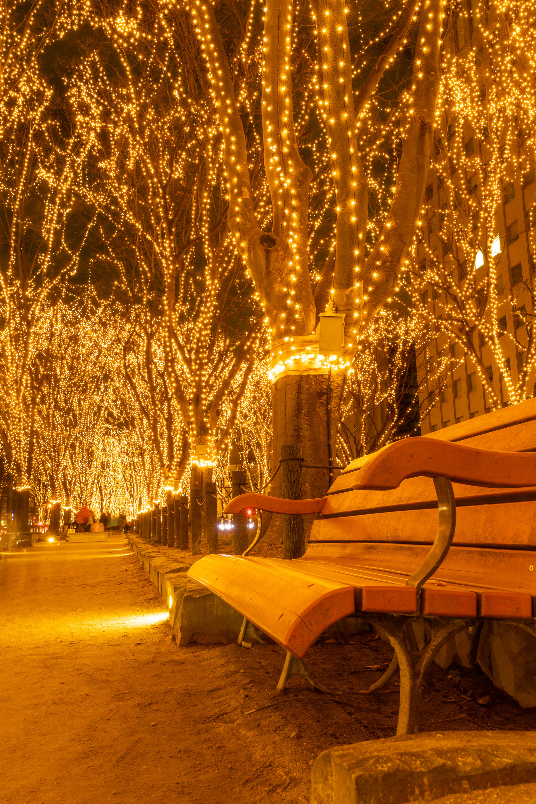 12/16(火)〜30(火)スケジュールを更新しました！メイン画像