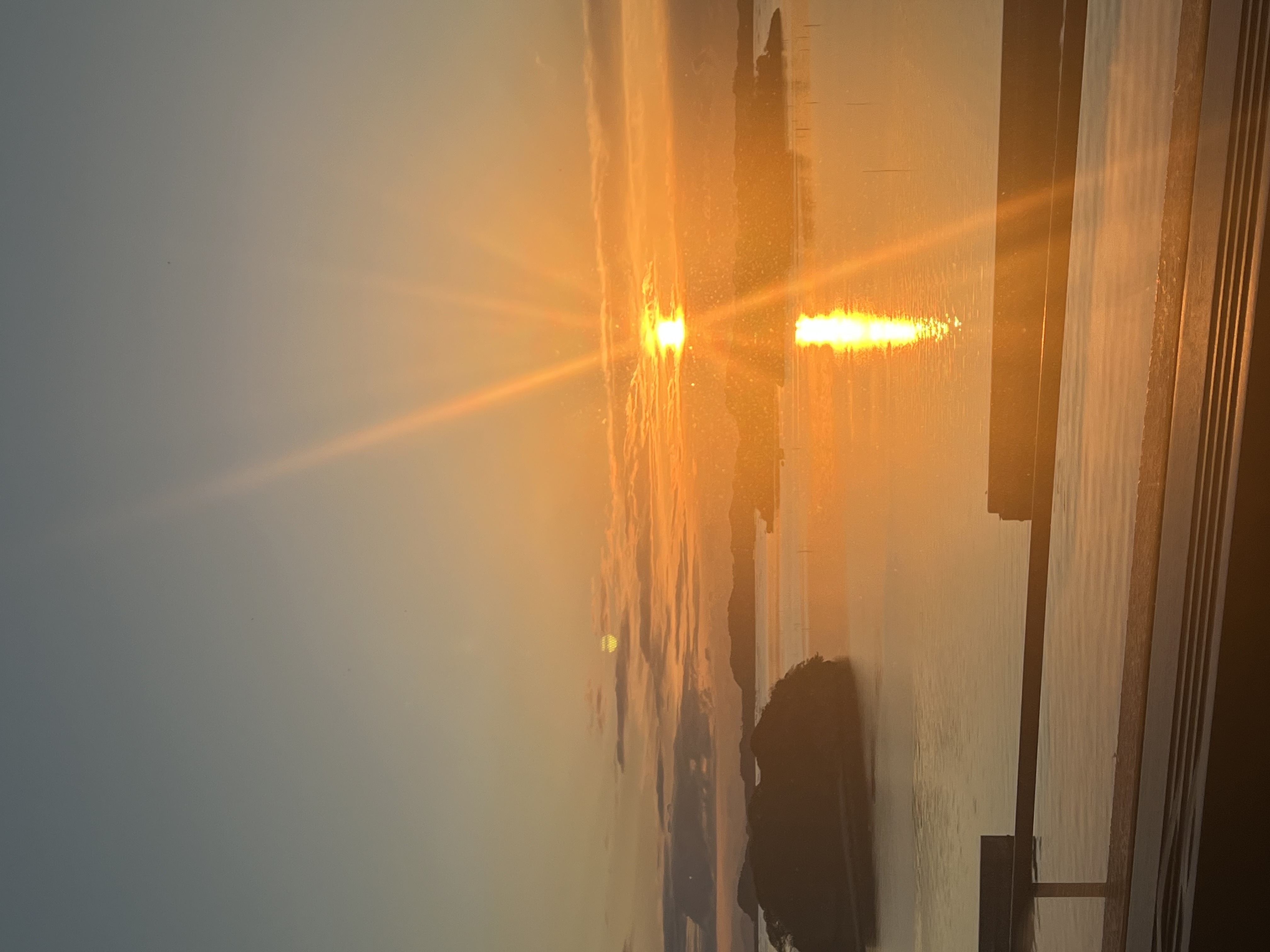 新年のご挨拶メイン画像