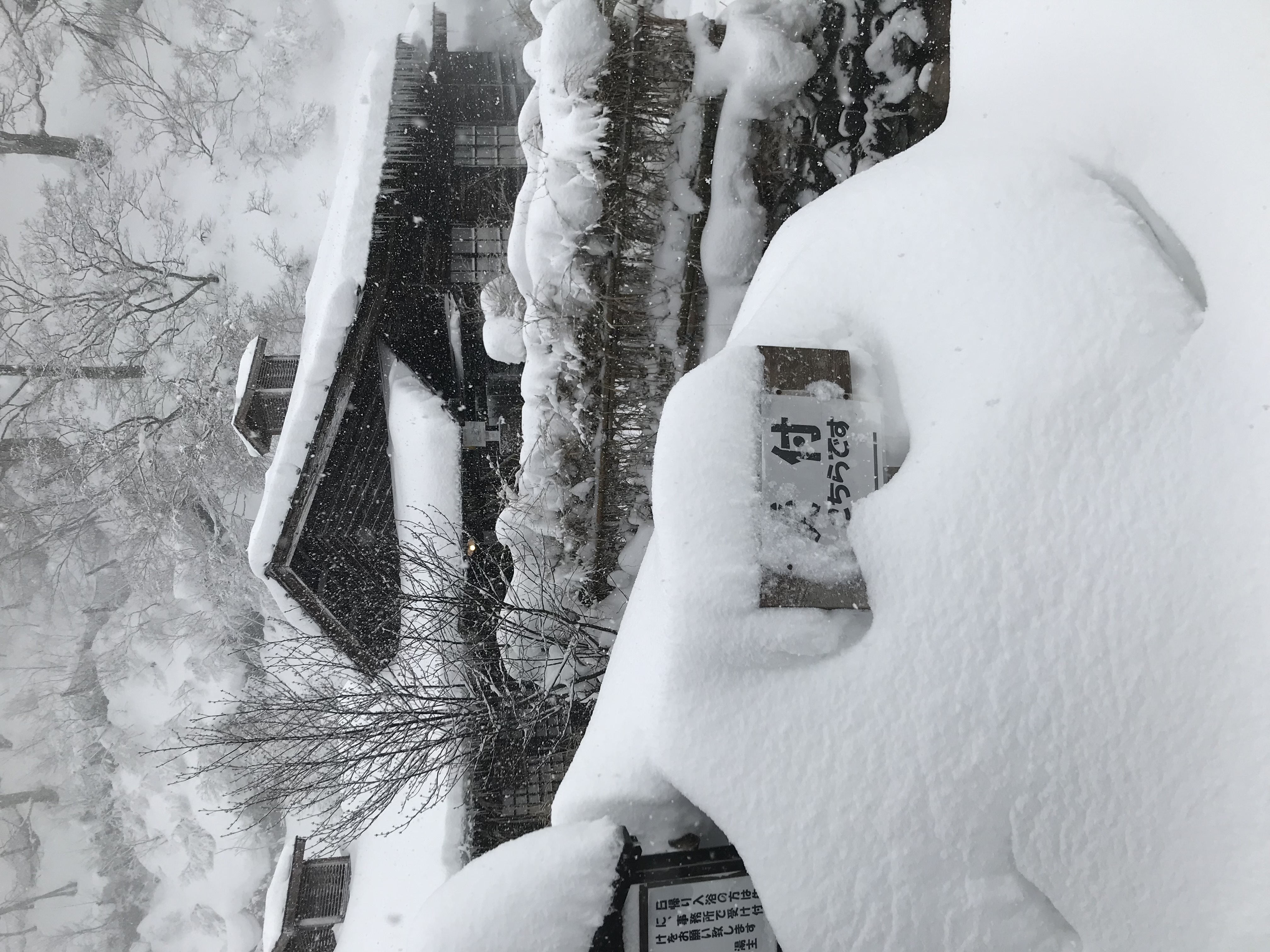 2/1(日)〜15(日)までのスケジュールを更新しました！メイン画像