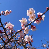 メンズエステブログ - 2/16(月)〜28(土)までのスケジュールを更新しました！