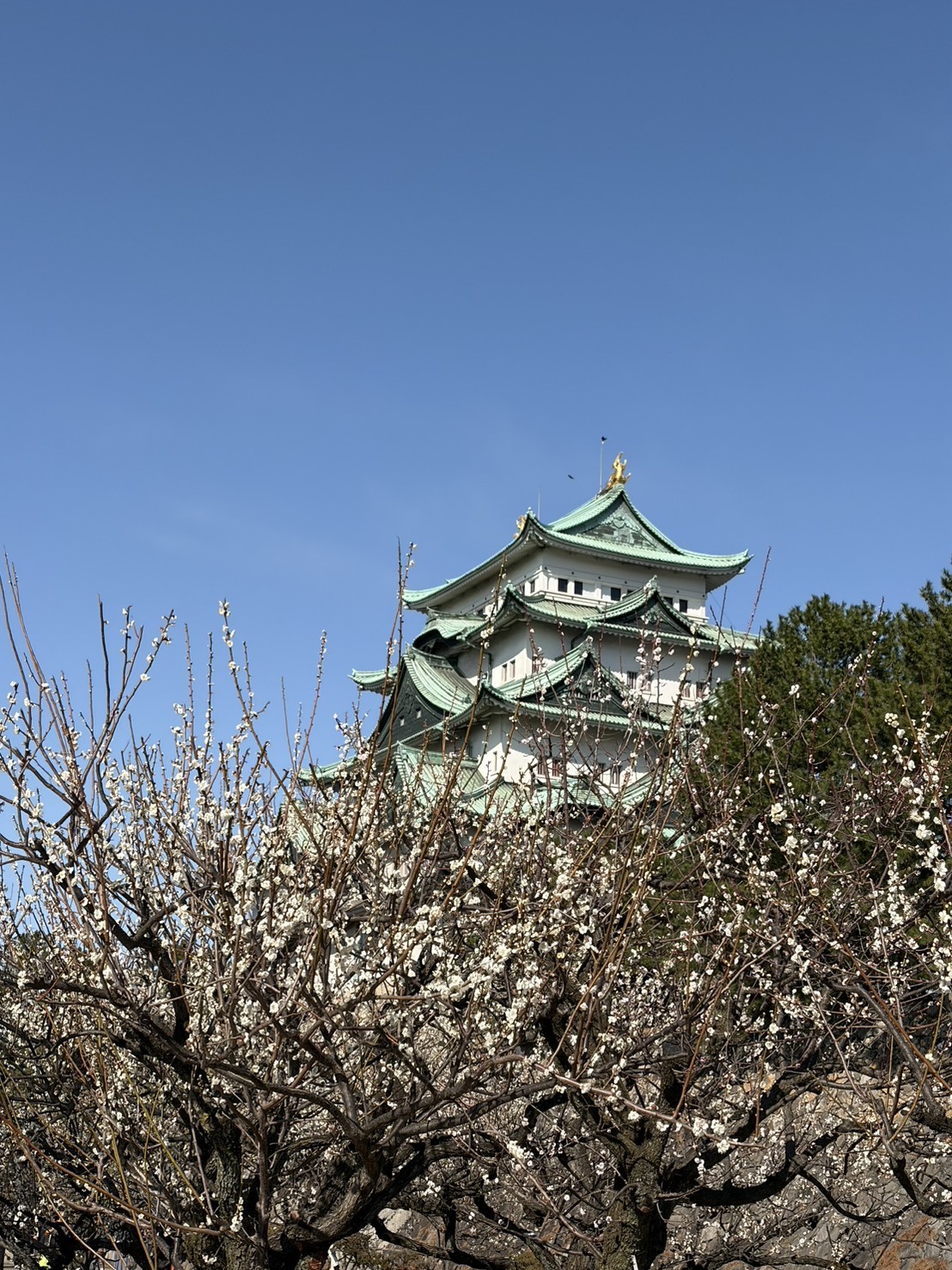 藍沢るい☆彡写メ日記メイン画像