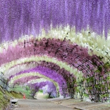 メンズエステブログ - 4/16(木)〜30(木)のスケジュールを更新しました！