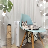 メンズエステブログ - **☆七夕の願い事☆☆」*・*・