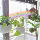 メンズエステブログ - ミレイ☆彡写メ日記