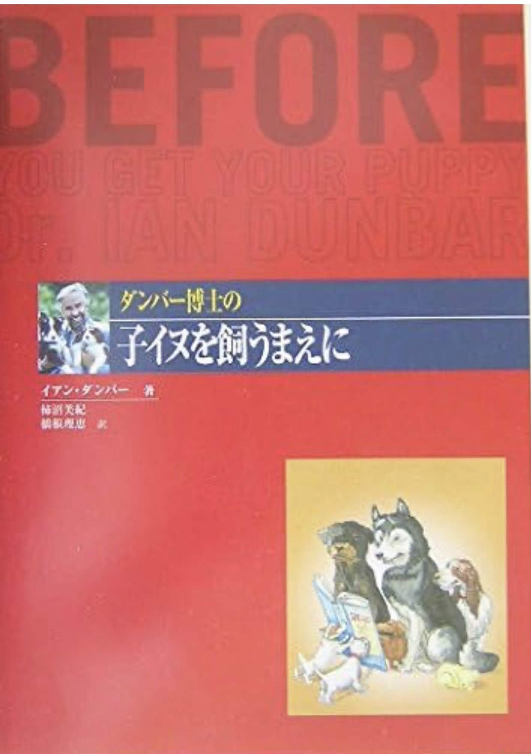 純☆彡写メ日記メイン画像