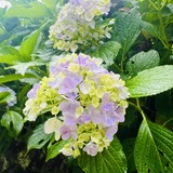 メンズエステブログ - 6/16(月)〜30(月)までのスケジュール更新しました